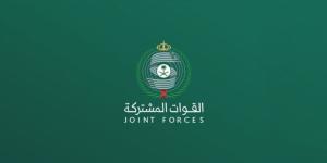 الملكي يرد على مزاعم الحوثيين حول استهداف التجمعات القبلية