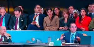 وزير المالية: تنمية الموارد المحلية والدولارية وتعزيز النمو الاقتصادي أولوية :اليوم السابع