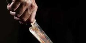 بسبب «طير حمام».. طالب ينهي حياة آخر بطعنات نافذة في قرية الزعفران بكفر الشيخ