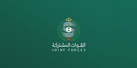 الملكي يرد على مزاعم الحوثيين حول استهداف التجمعات القبلية