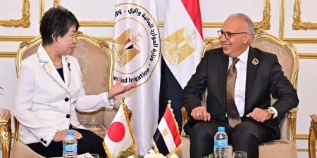 وزير الري يبحث مع مسئولة يابانية توظيف الذكاء الاصطناعي في واجهة التحديات المناخية