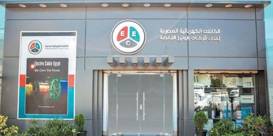 أرباح بيع أرض تحد من خسائر شركة الكابلات الكهربائية.. والرقابة المالية تحذر من تحول أرباحها التشغيلية إلى خسائر