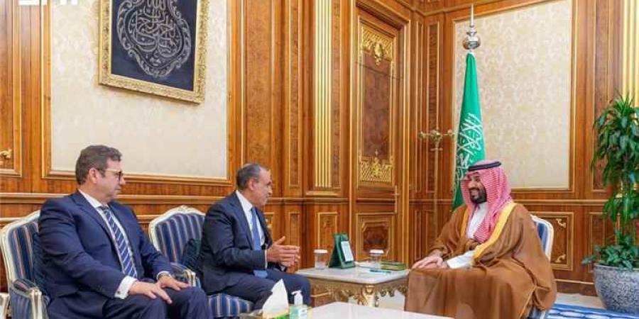 بكري يكشف تفاصيل لقاء وزير الخارجية المصري وولي العهد السعودي