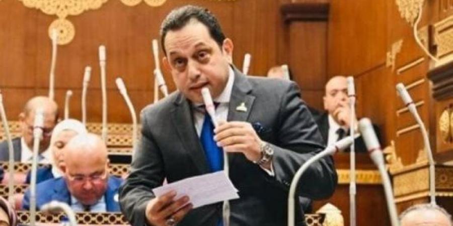 النائب محمد الجندى: منتدى مصر 2026 يضع أمن الطاقة على طاولة النقاش :اليوم السابع