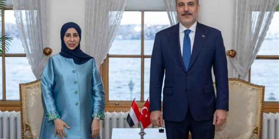 رسالة من العليمي إلى أردوغان.. مباحثات يمنية تركية تتناول الحوثيين وأمن الملاحة