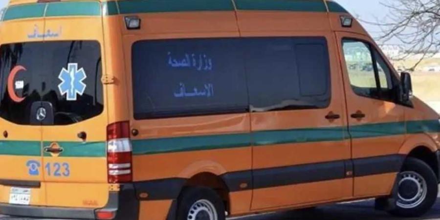 مصرع 12 وإصابة 30 في تصادم أتوبيس وسيارة نقل بطريق أسيوط الغربي