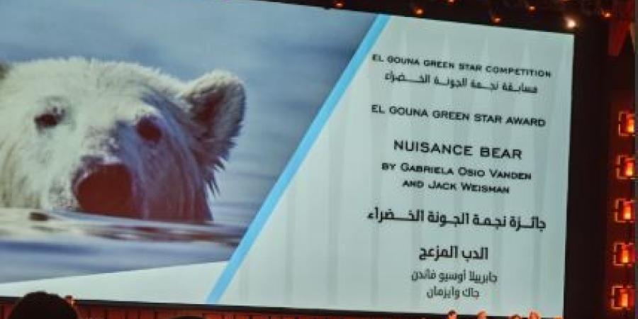 الدب المزعج يحصد جائزة نجمة الجونة الخضراء