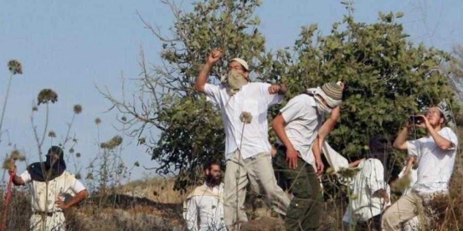 مستوطنون يدمرون نصبا تذكاريا لشيرين أبو عاقلة جنوب جنين