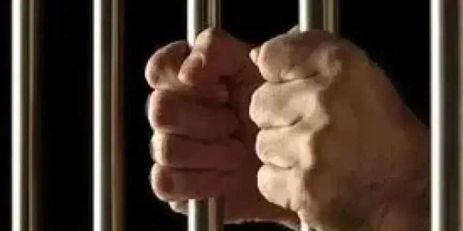 ضبط 3 أشخاص بحوزتهم 8500 دولار مزيفة وتمثالان يشتبه في أثريتهما بحدائق الأهرام