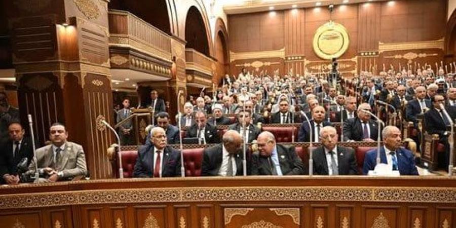 مجلس الشيوخ يناقش ضبط الأسواق ومواجهة الغلاء الأسبوع المقبل :اليوم السابع