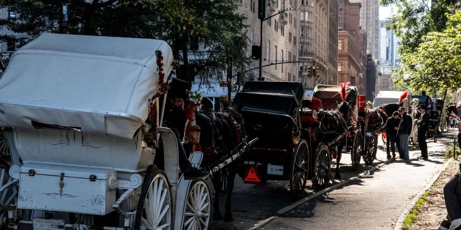نيويورك تقر حظر عربات الخيول ابتداءً من يونيو 2028
