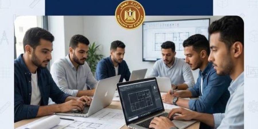 الوادي الجديد تعلن عن فرص عمل جديدة بالقطاع الخاص .. اعرف التفاصيل :اليوم السابع
