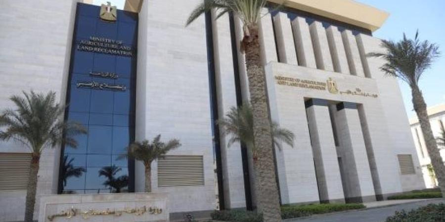 الزراعة تطلق غدا حملة تحصين الأبقار ضد الجلد العقدى والأغنام ضد الطاعون :اليوم السابع