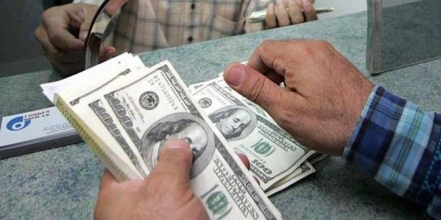 خبير اقتصادي: 4 أسباب وراء صعود الدولار.. وسعر الصرف لن يتجاوز 56 جنيها