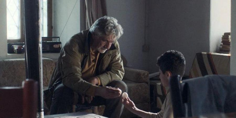 «يومًا ما ولد» يفوز بأفضل فيلم عربي قصير في الجونة